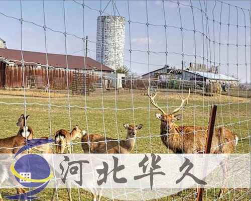 牛欄網(wǎng)